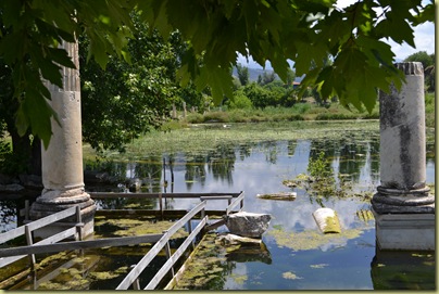 Aphrodisias South Agora pond edge under water