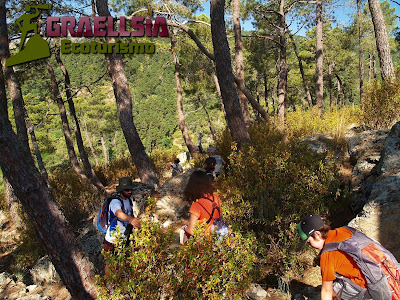 Campamento de verano en la Naturaleza