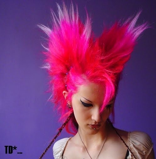 punk hairstyles for girls. Punk Hairstyles For Girls