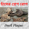 হাঁসের প্লেগ রোগ (Duck Plague)