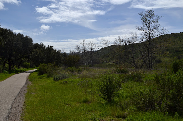 paved road along the canyon