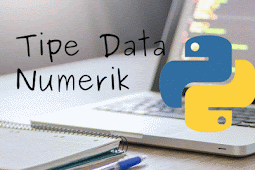 pengertian tipe numerik, tipedata,fungsi, dan jangkauan tipe numerik