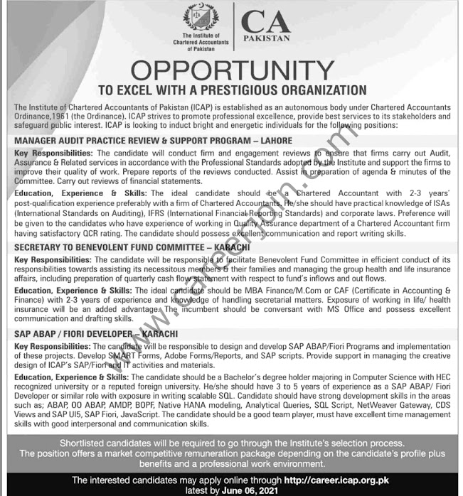 Latest Jobs in Institute Of Chartered   Accountant of Pakistan ICAP 2021