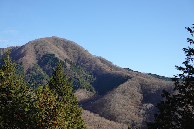 岡山県真庭市の蒜山下徳山 蒜山大山スカイラインからの眺望