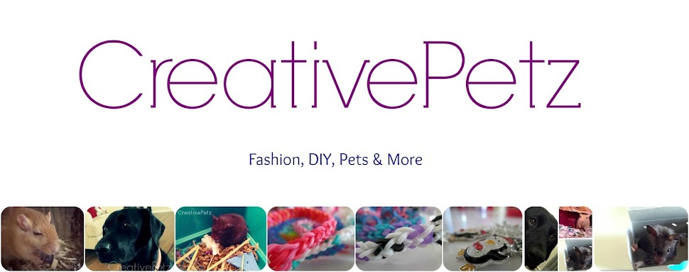 CreativePetz | Fashion, DIY, Pets + More