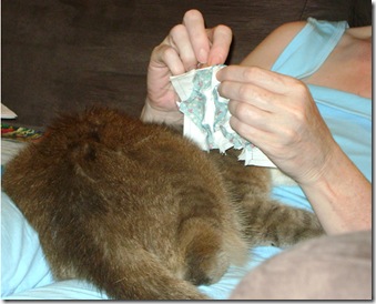tabitha sewing