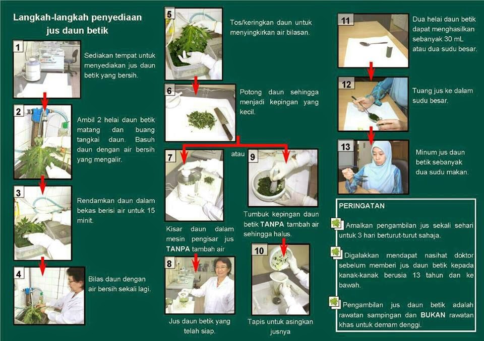 Jus daun betik sebagai penawar merawat demam denggi 