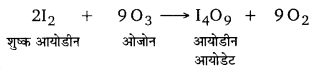 Solutions Class 12 रसायन विज्ञान-I Chapter-7 (p-ब्लॉक के तत्त्व)