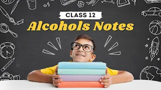 Alcohol Class 12 Chemistry Notes