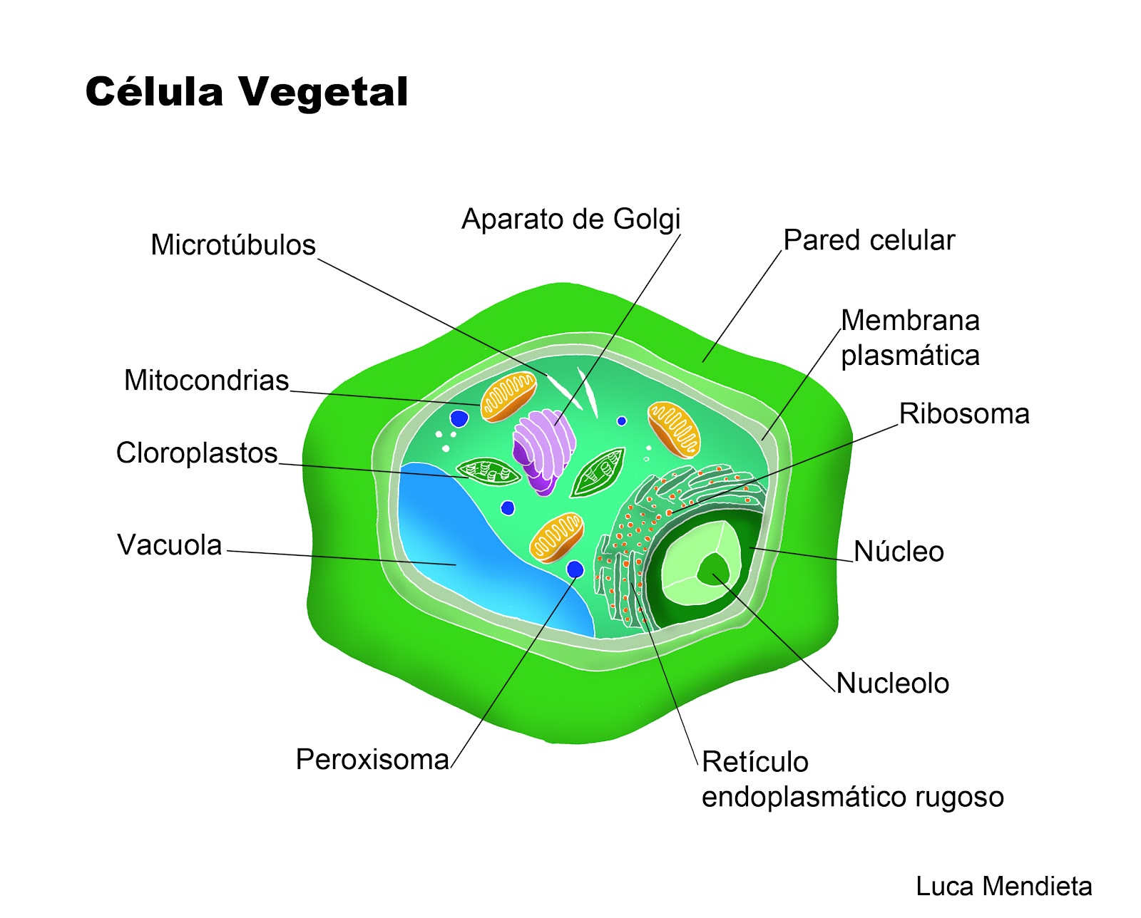 Temario La Celula