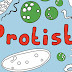 Kingdom-protista-Euglena-Paramecium | uksir-notes | Diversity-Living-World4