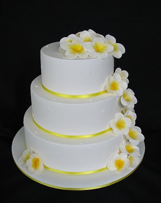 Frangipani wedding cake with yellow satin ribbon Two tier cake with yellow 