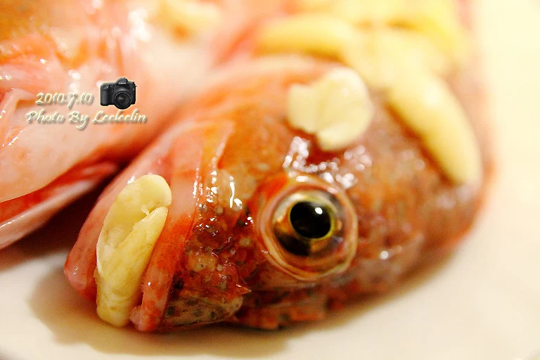 石狗公魚｜高經濟價值的魚種｜魚鮮煮湯料理魚刺少、魚肉多｜崁仔頂魚市