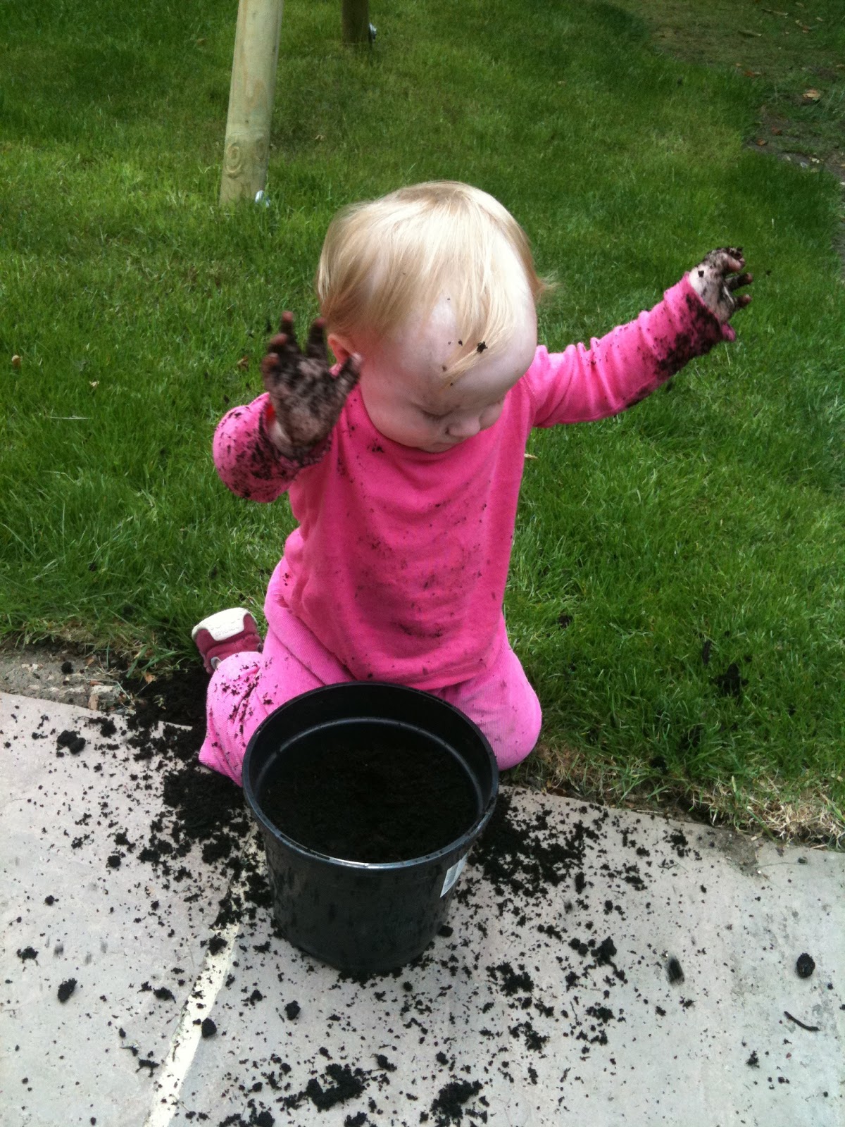 u-ni-k blog: #NGW - our favourite gardening tips!