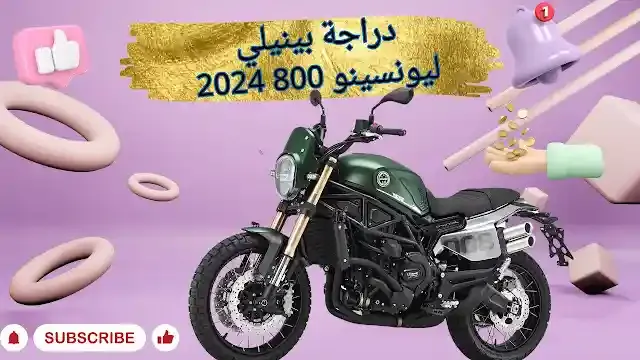 بينيلي ليونسينو 800