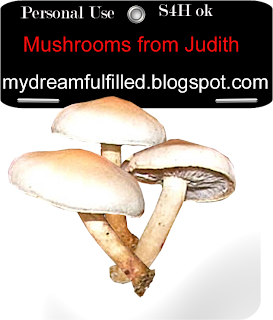 http://feedproxy.google.com/~r/Dreamsfulfilled/~3/ZZ6qJyPLvSo/mushrooms.html