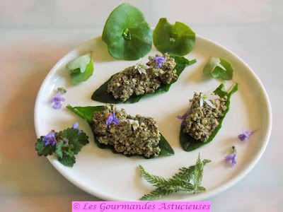 Tartinade orties noix (Vegan)