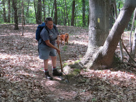 trail work