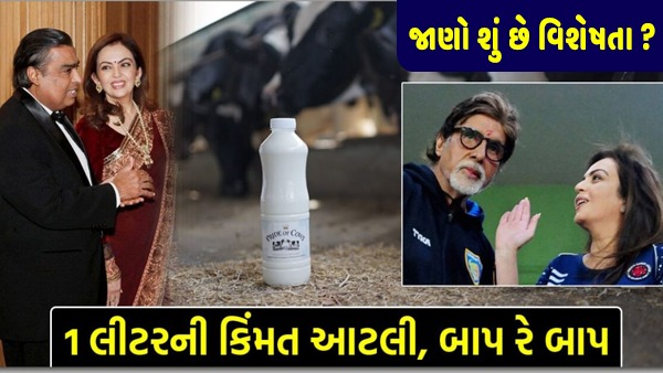 અમિતાભથી લઈને અંબાણી પીવે છે આ ડેરીનું દૂધ