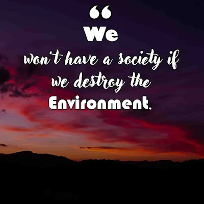 Best Quotes on Environment