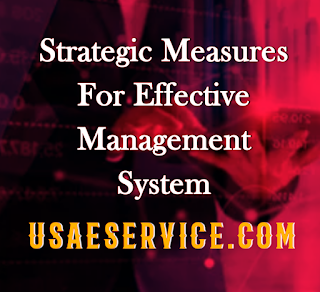 Strategic Measures Management System