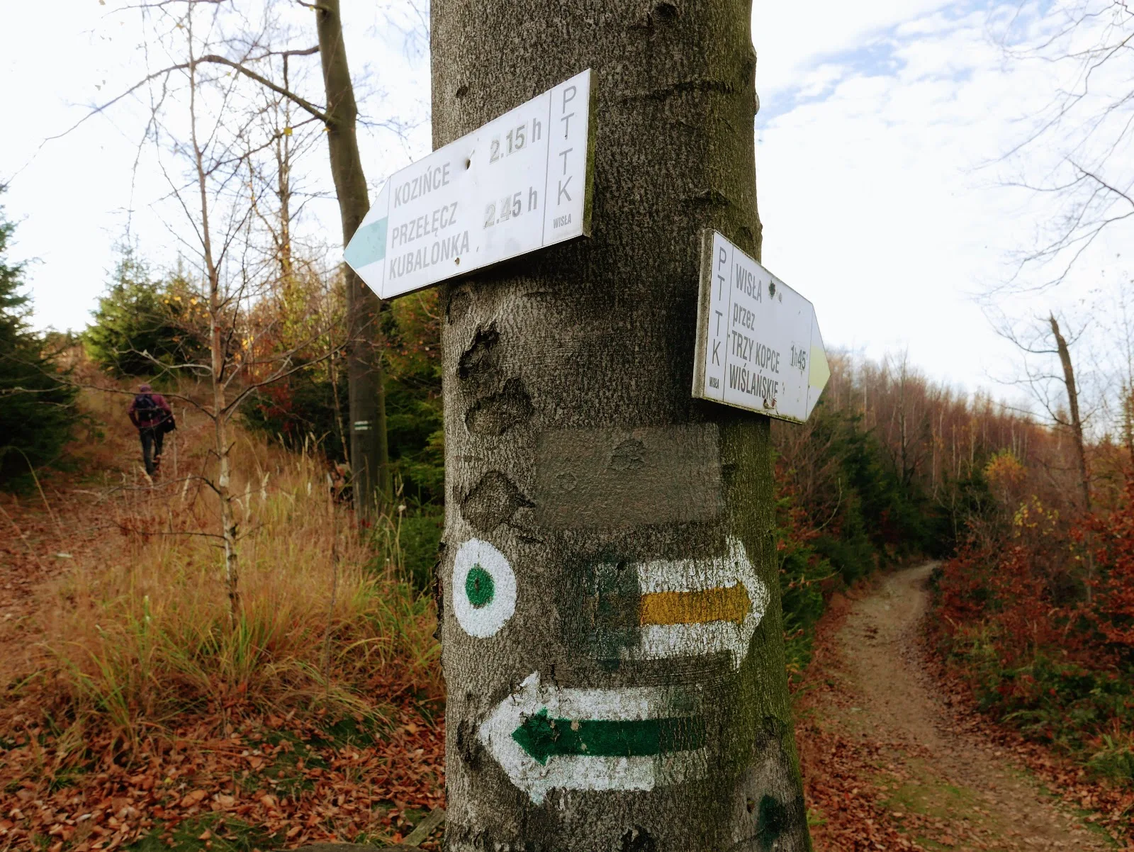 Szlak w Beskidzie Śląskim. Wisła na weekend. Malinowska Skała. Beskid Śląski atrakcje. Beskid Śląski mapa. Beskid Śląski szczyty. Pętla Cieńkowska. Beskid Śląski z dzieckiem. Beskid Śląski rodzinnie.