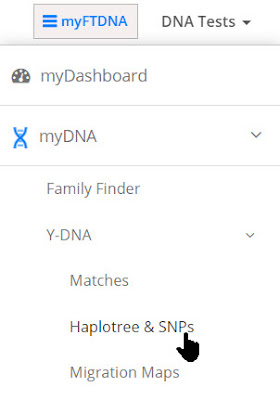 Haplotree and SNPs