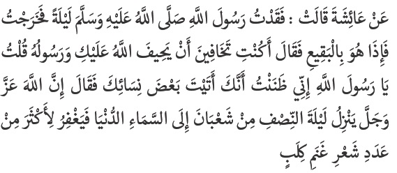 Aku kehilangan Rasulullah SAW pada suatu malam. Kemudian aku keluar dan aku menemukan beliau di pemakaman Baqi’ Al-Gharqad” maka beliau bersabda “Apakah engkau khawatir Allah dan RasulNya akan menyianyiakanmu?” Kemudian aku berkata: “Tidak wahai Rasulullah SAW, sungguh aku telah mengira engkau telah mendatangi sebagian isteri-isterimu”.Kemudian Rasulullah SAW bersabda