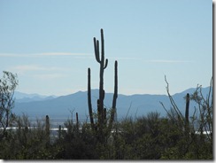 DSCN3059