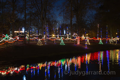 Lights reflecting in pond