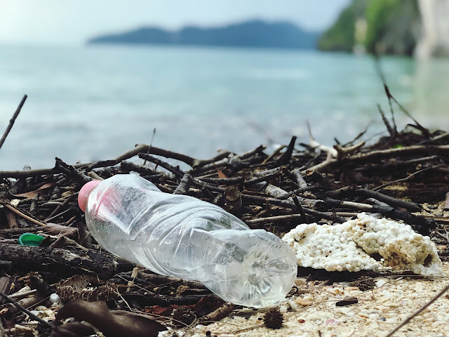 Beating Plastic Pollution: A Comprehensive Guide to Combatting the Global Crisis