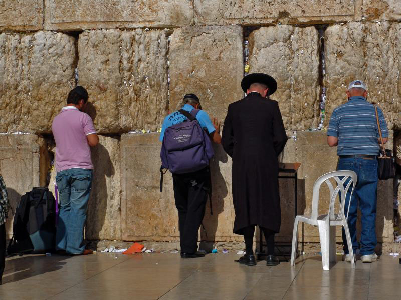 Israeli Holly Wall Gorgeous Images