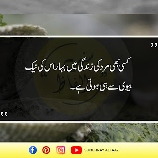 urdu quotes