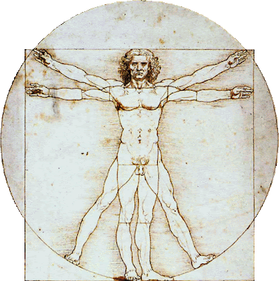 An Image of the Vitruvian Man