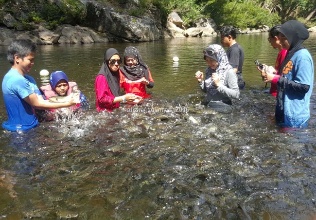 ikan kelah di tasik kenyir