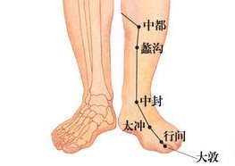 中都穴位 | 中都穴痛位置 - 穴道按摩經絡圖解 | Source:xueweitu.iiyun.com