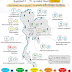 สถานการณ์คุณภาพอากาศ ณ วันพฤหัสบดีที่ 11 กุมภาพันธ์ 2564