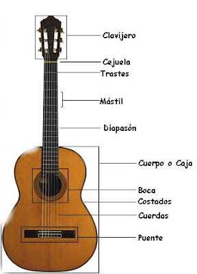 Que tipo de guitarra elegir