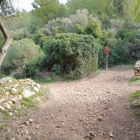 Vista del camino desde Santo Tomas