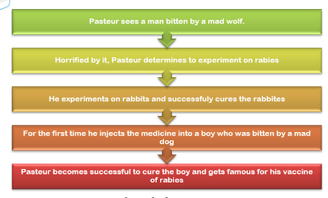 Louis Pasteur Questions Answers, SCERT Solutions