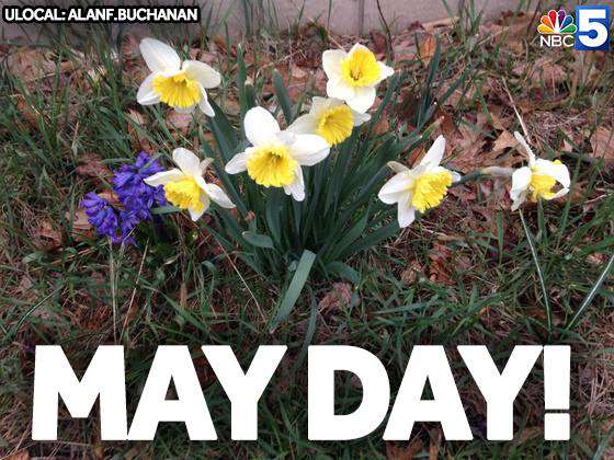 May Day Wishes Awesome Picture