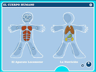  EL CUERPO HUMANO CASTILLA-LEÓN