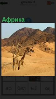 Африка, в которой находятся жирафы и пустыня с холмами