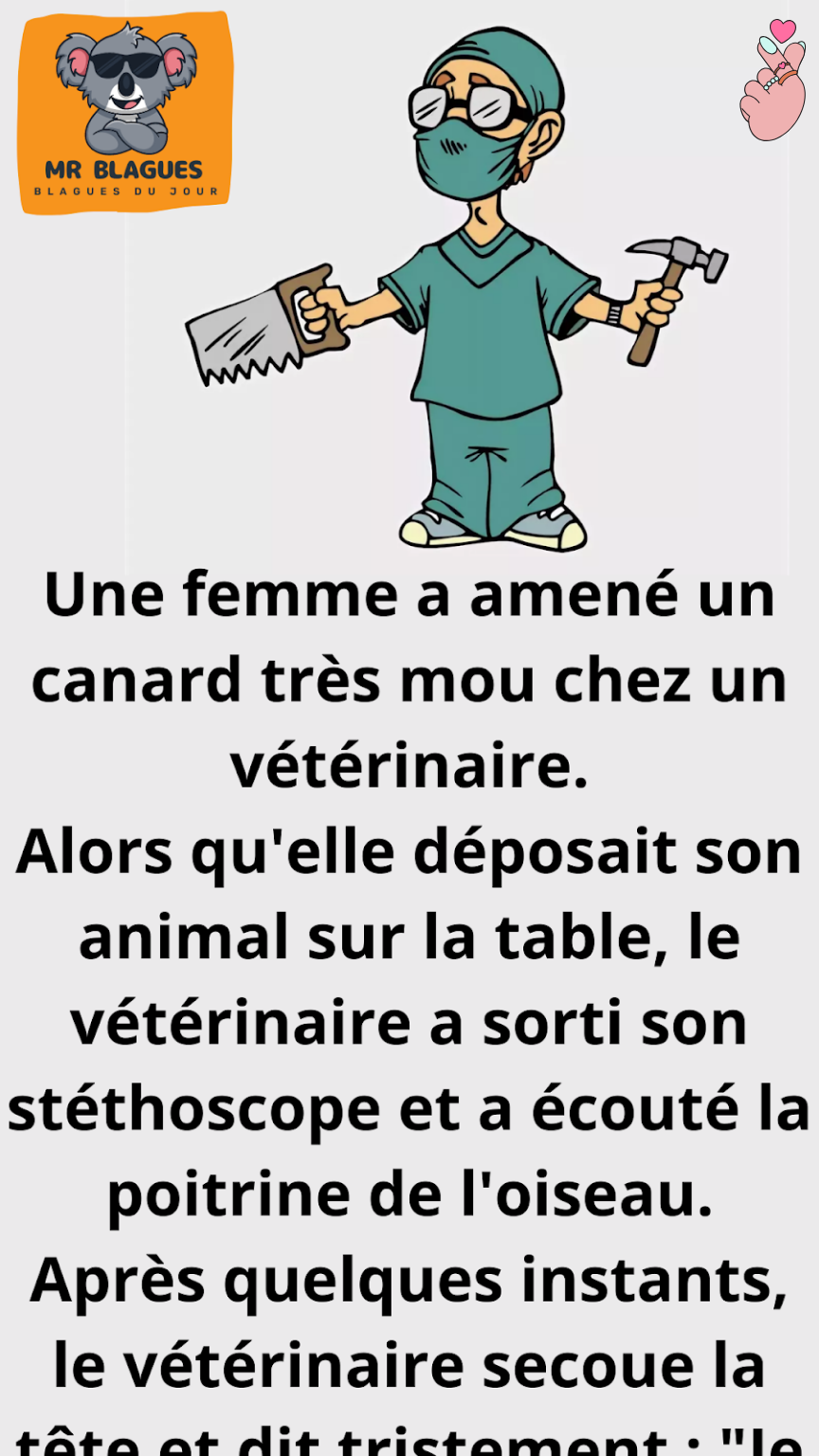 Une femme a apporté un canard très mou chez un vétérinaire.