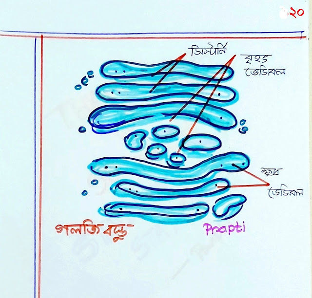 SSC Biology Chapter 2 Hand Note