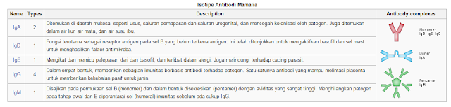 Antibody isotypes of mammals Blog Riyawan