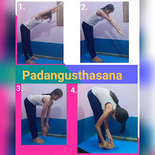 Padangusthasana 