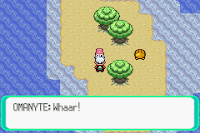 Pokemon Expert Emerald screenshot 06