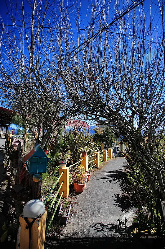 博望新村(彩虹眷村)｜松崗滇緬文史館