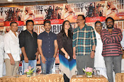 Rudramadevi movie success meet photos-thumbnail-7